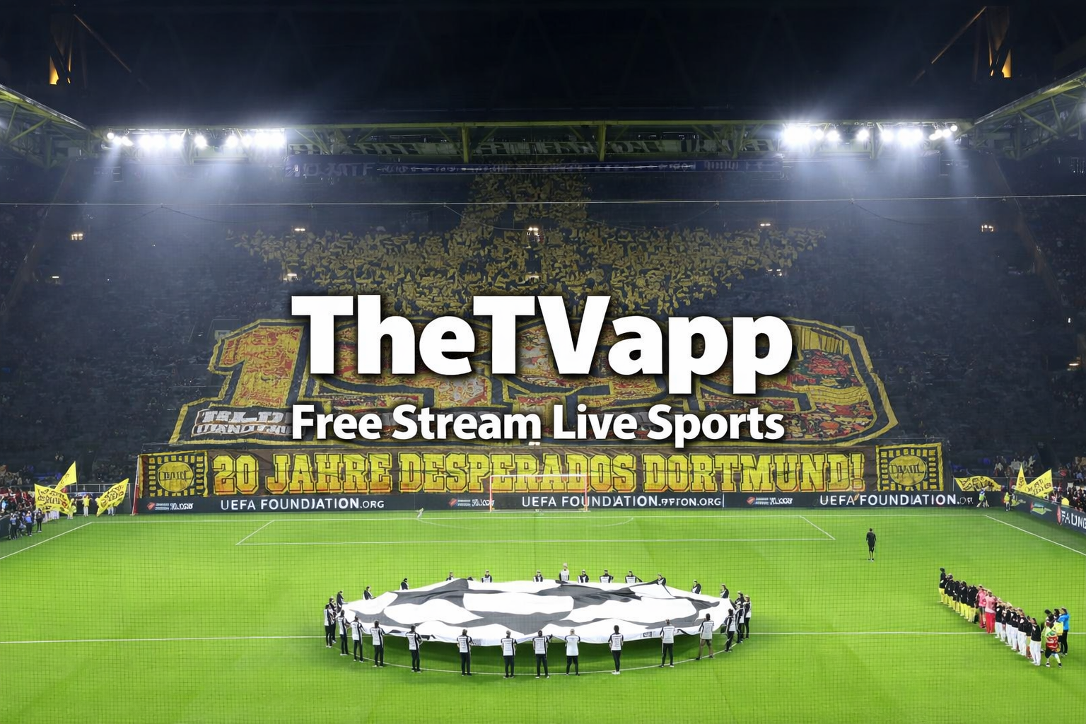TheTVapp